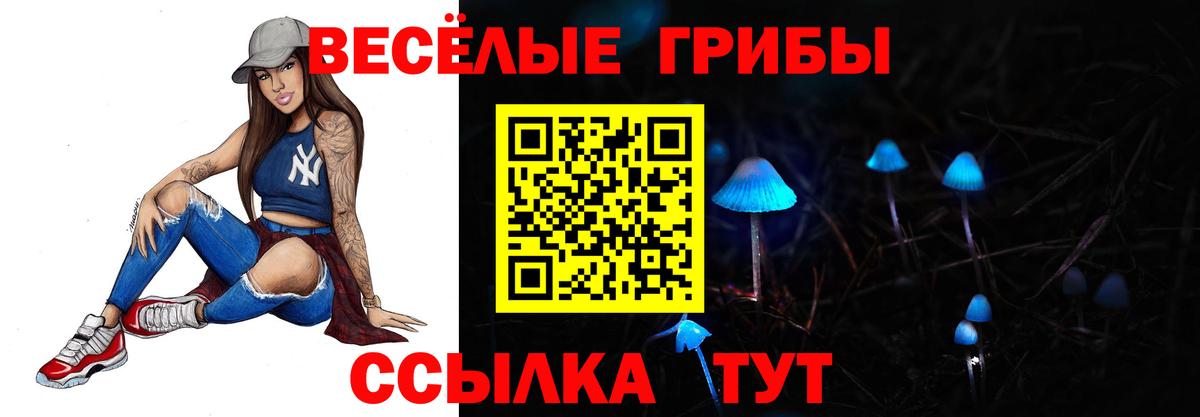 Иркутск  Псилоцибиновые грибы Psilocybe  Вход с VPN 
